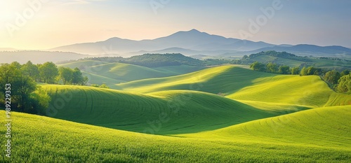 Lush rolling hills with a mountain range in the background.