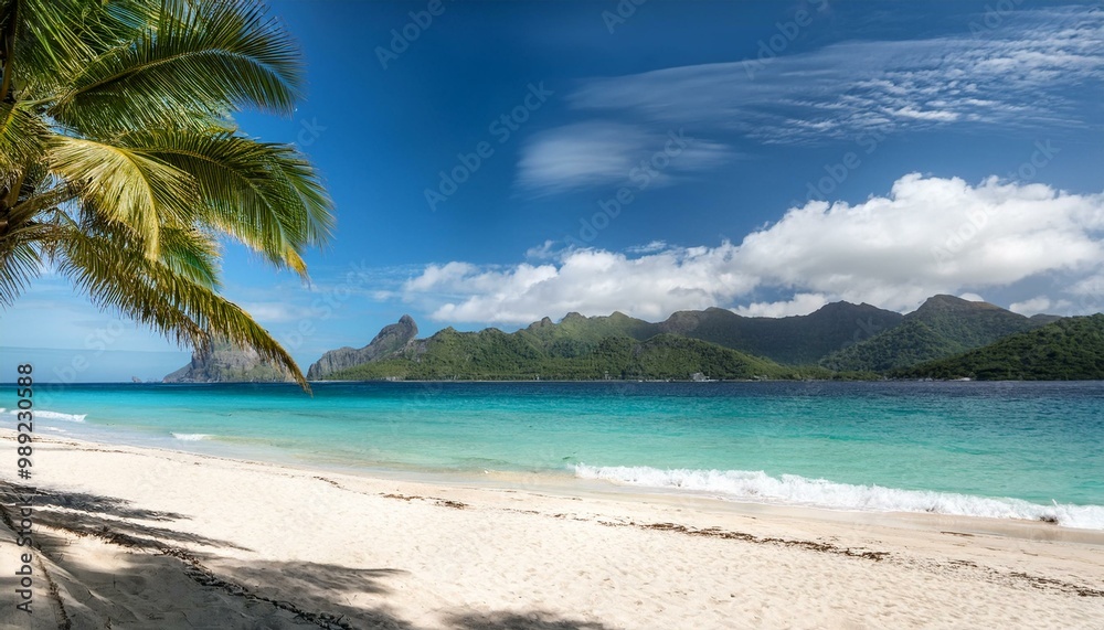 Fototapeta premium tropical beach view with palm trees and distant mountains