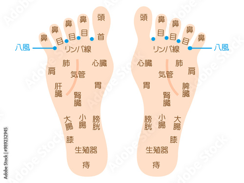 シンプルな足つぼマッサージの図解イラスト素材