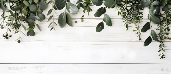 Eucalyptus & Mistletoe Winter Border on White Wood