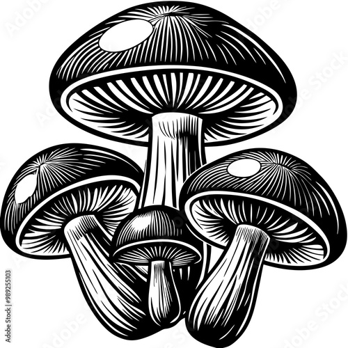 Here is the cartoon illustration of the three whimsical mushrooms, each with their own vibrant colors and playful shapes! Let me know if you'd like any adjustments.