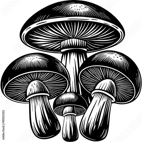 Here is the cartoon illustration of the three whimsical mushrooms, each with their own vibrant colors and playful shapes! Let me know if you'd like any adjustments.