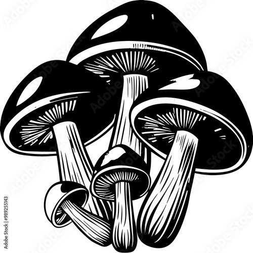 Here is the cartoon illustration of the three whimsical mushrooms, each with their own vibrant colors and playful shapes! Let me know if you'd like any adjustments.