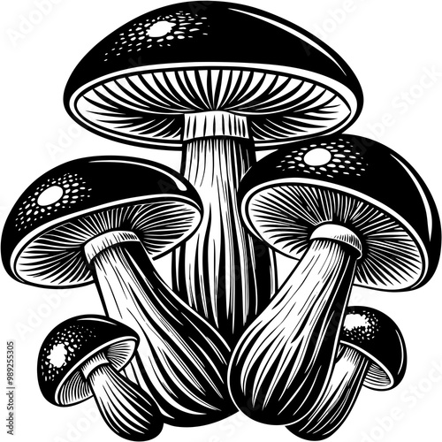 Here is the cartoon illustration of the three whimsical mushrooms, each with their own vibrant colors and playful shapes! Let me know if you'd like any adjustments.