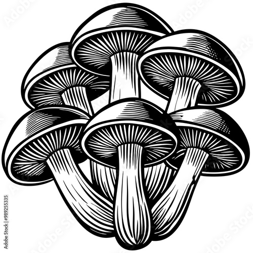 Here is the cartoon illustration of the three whimsical mushrooms, each with their own vibrant colors and playful shapes! Let me know if you'd like any adjustments.