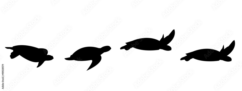 Set of swimming turtle silhouettes isolated on white background ...