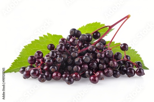 A fresh elderberry isolated on white