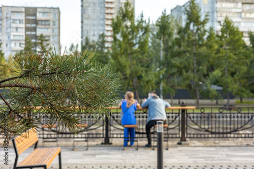 Wallpaper Mural Close up of green fir tree in a city park, defocused images of people sitting together on benches in city park. Torontodigital.ca