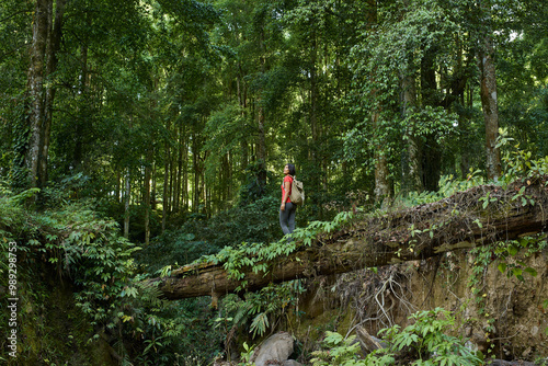Asia, Indonesia, Bali, Mature fit Asian woman crossing fallen tree bridge across river in rainforest, while trekking in jungle