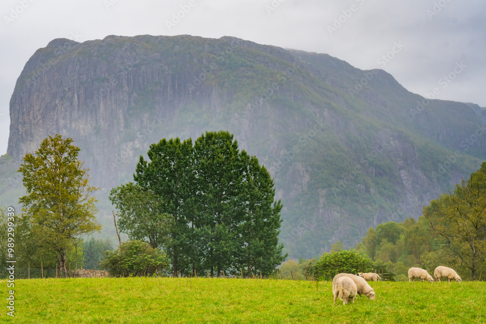 Landscape of the south of Norway