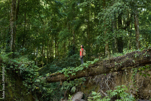 Asia, Indonesia, Bali, Mature fit Asian woman crossing fallen tree bridge across river in rainforest, while trekking in jungle