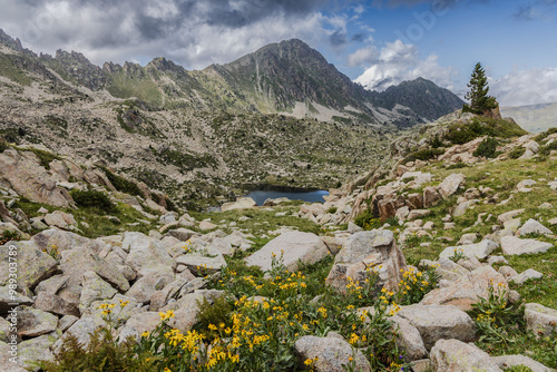 Estany del Cap dels Pessons, lake de Pessons in the Pyrenees mountains of Andorra, summertime