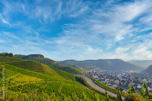 road through the vineyards near Dernau, in the Ahrweiler district in the north of Rhineland-Palatinate, Germany