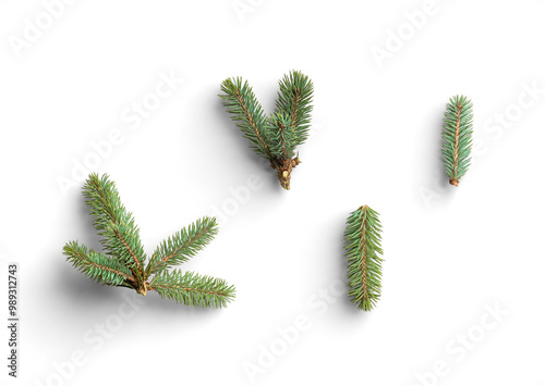 Valokuva Set of Fir Sprigs with Green Needles for Winter Decor