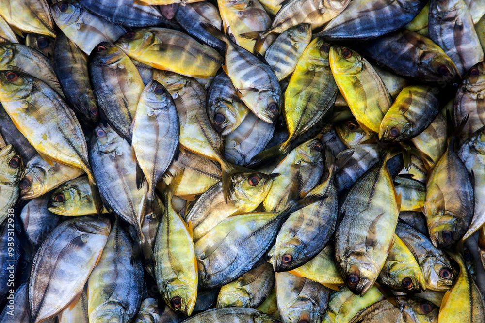 Fototapeta premium A pile of dorado fish. Fresh raw mackerel in a market.