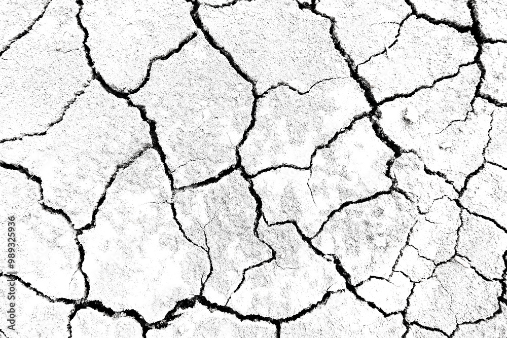 Fototapeta premium Texture soil dry crack background pattern of drought lack of water of nature white black old broken.