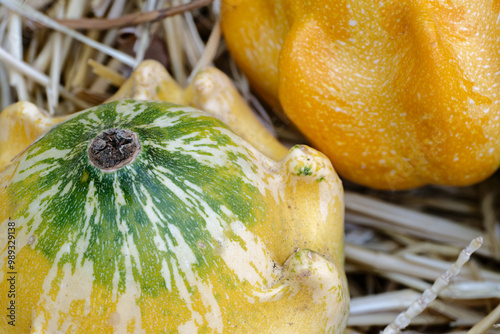 Group of assorted pattypans, close up shot photo