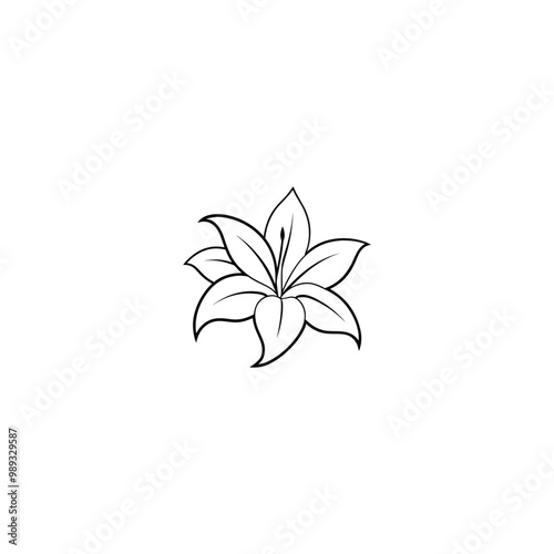 white flower on black background