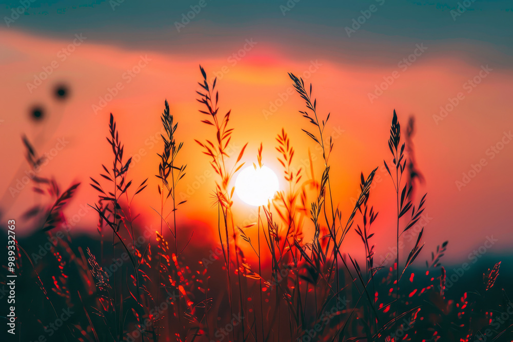 Fototapeta premium A field of tall grass with a sun in the sky