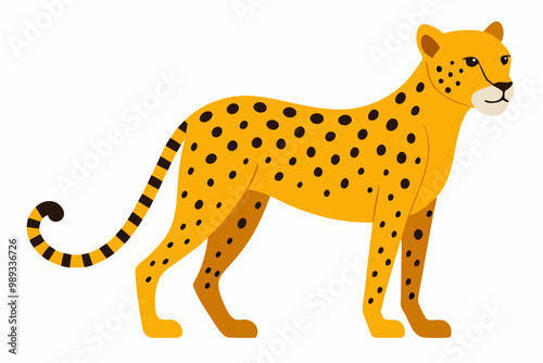  Cheetah vector art and illustration photo