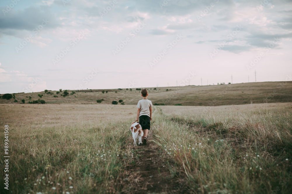 Obraz premium A boy of about seven with blond hair moves through a meadow with an Epagnol Breton dog against a background of grass and hills at sunset. Rear view. 