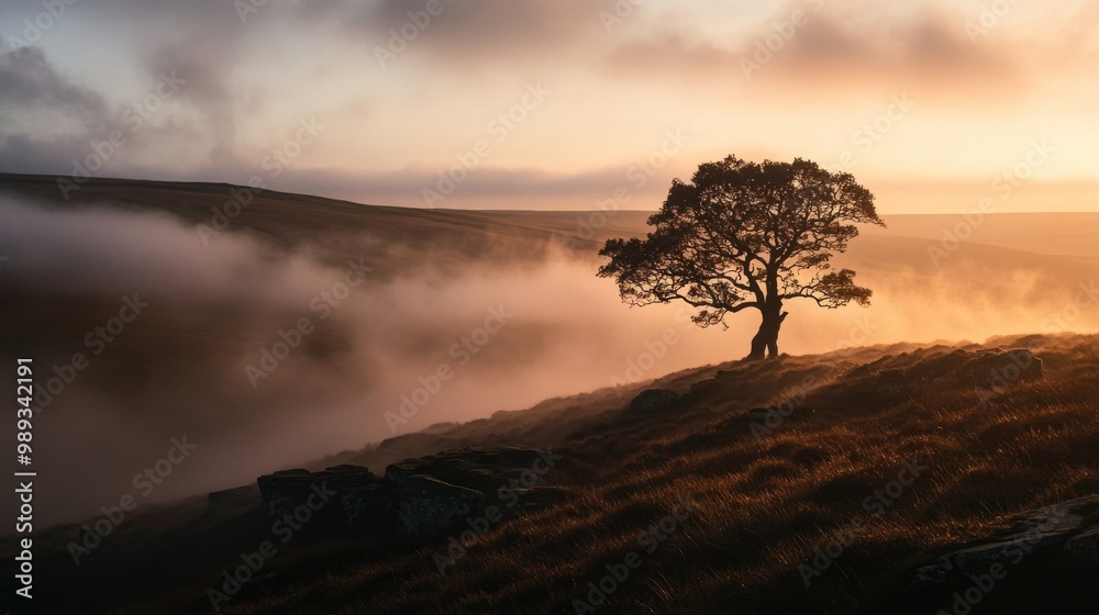 A dramatic view of the English moors at dawn, with rolling mist and the silhouette of a lone tree, A dramatic view of the English moors at dawn, with rolling mist and the silhouette of a lone tree,