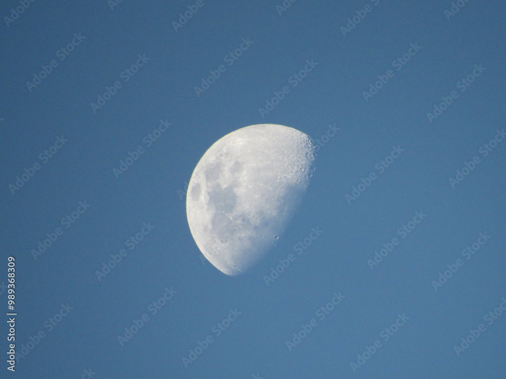 Moon in the daylight; Picture taken by a Canon PowerShot SX520 HS. Moon in the daylight; Picture taken by a Canon PowerShot SX520 HS.