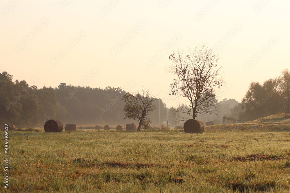 Obraz premium Beautiful sunrise on a meadow covered in fog and with hay bales. Beautiful sunrise meadow landscape scenery background. Mowed meadow with bales of hay in Czech republic 