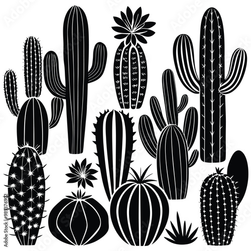 various  cactus  silhouettes silhouette