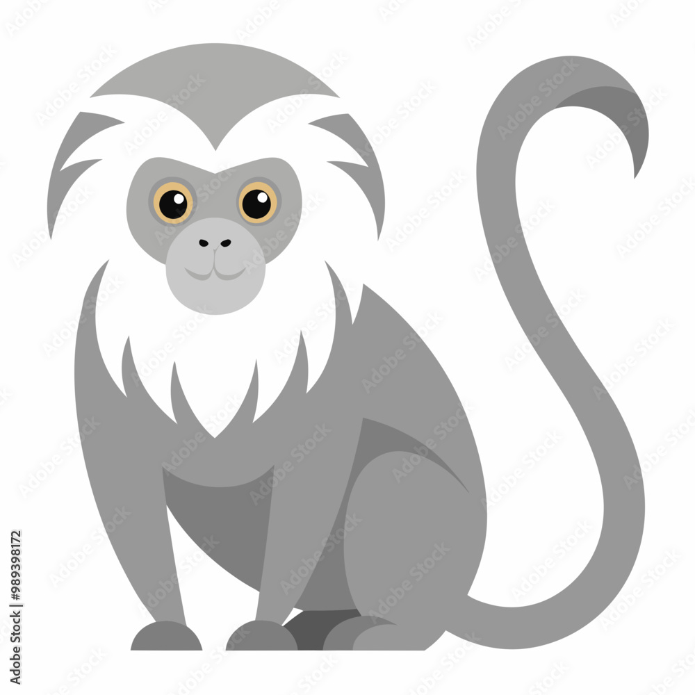 Creative vector design of a silver marmoset on a white background Creative vector design of a silver marmoset on a white background