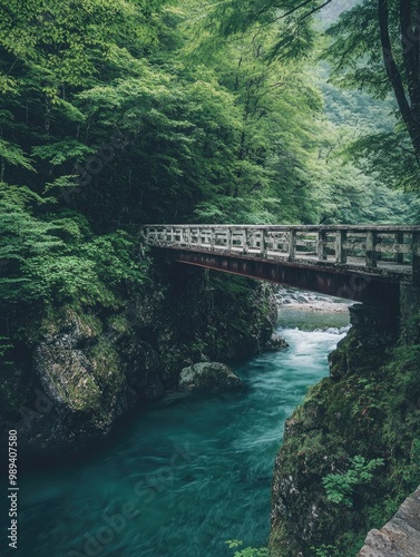 Mossy Forest Scenic Bridge