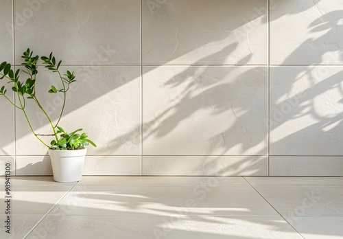 Beige Kitchen Countertop with Plant and Tile Wall photo