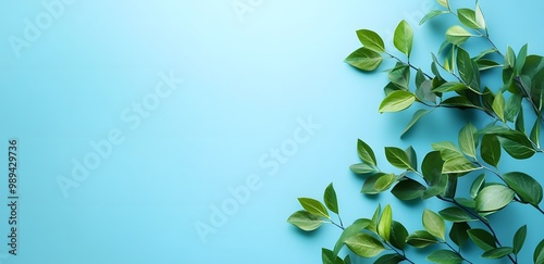 Green Leaves on Light Blue Background Banner Design
