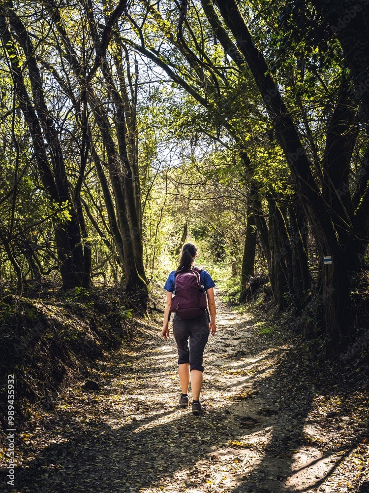 Woman Hiking Through Sunny Forest Pathway Woman Hiking Through Sunny Forest Pathway