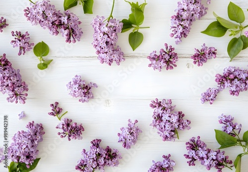 Lilac Flowers Spring Easter White Wooden Background