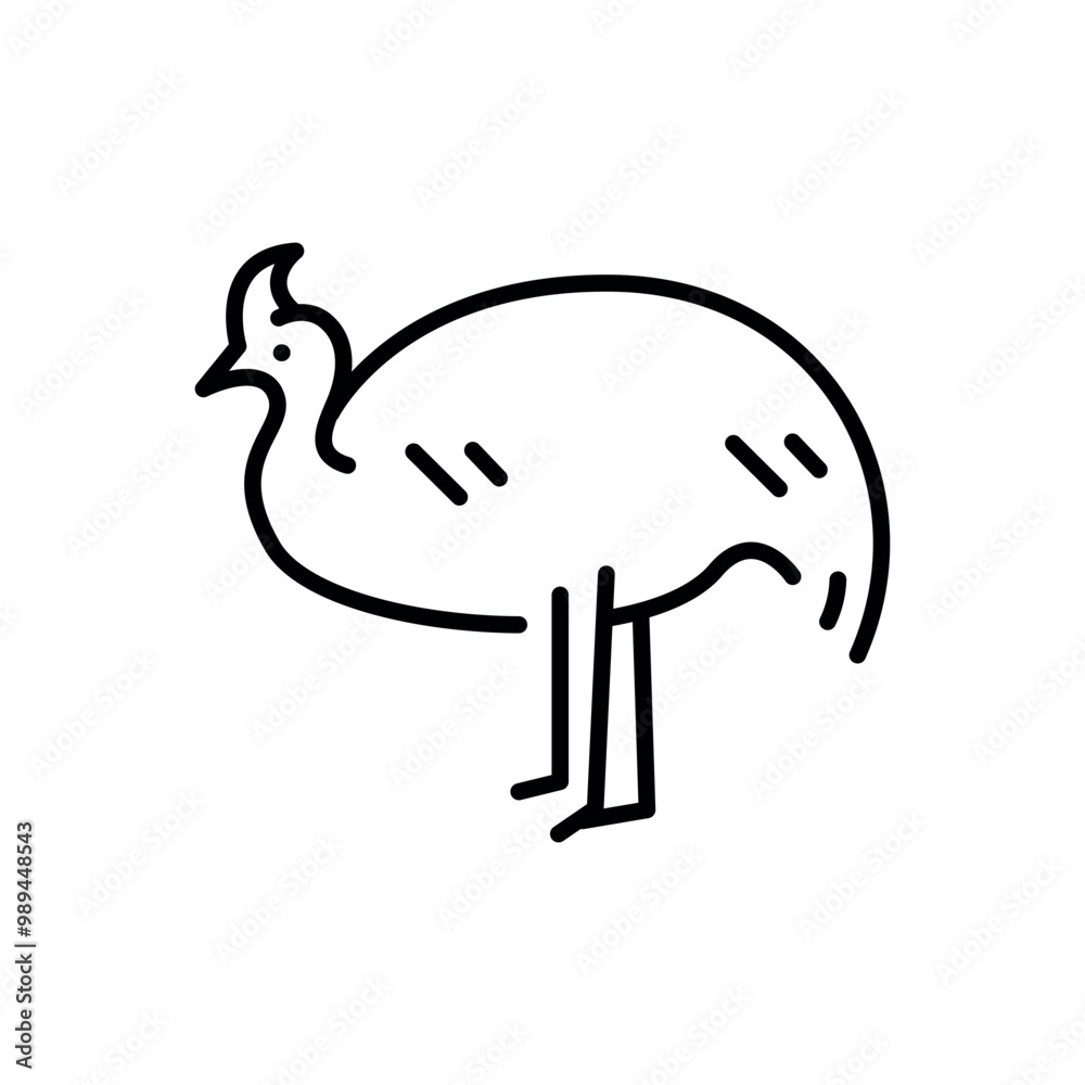 Fototapeta premium Australian cassowary black line illustration. Animals of Australia.
