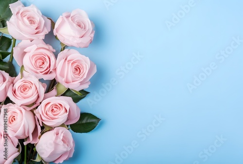 Pink Roses on Blue Background with Copy Space