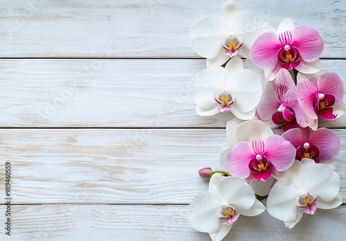 White Pink Orchids Wooden Background Banner