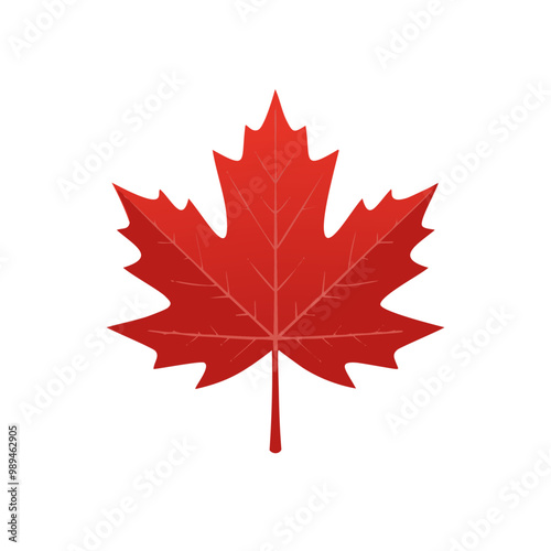 Classic Canadian Maple Leaf Vector Illustration