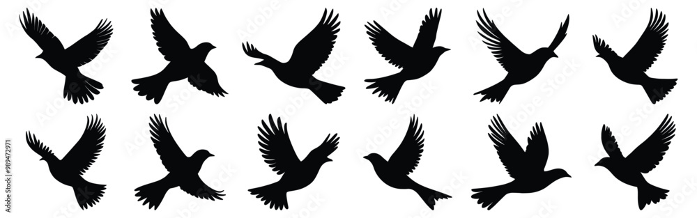 Fototapeta premium Bird silhouettes set, flying pack of vector silhouette design, isolated background.