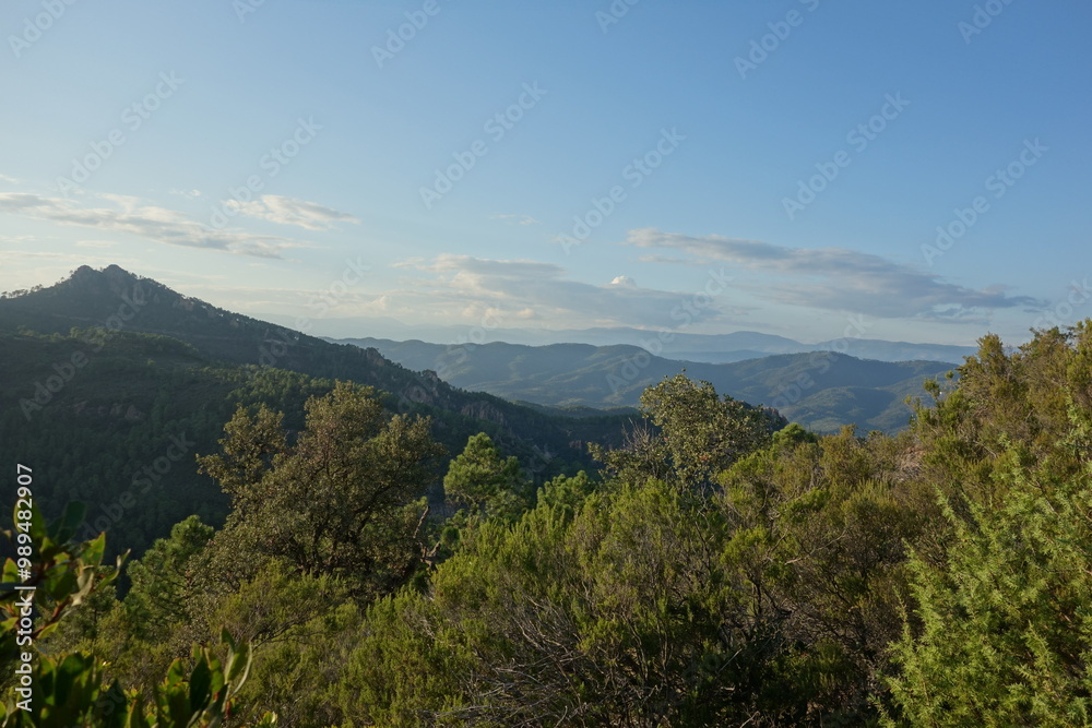 Fototapeta premium GR51