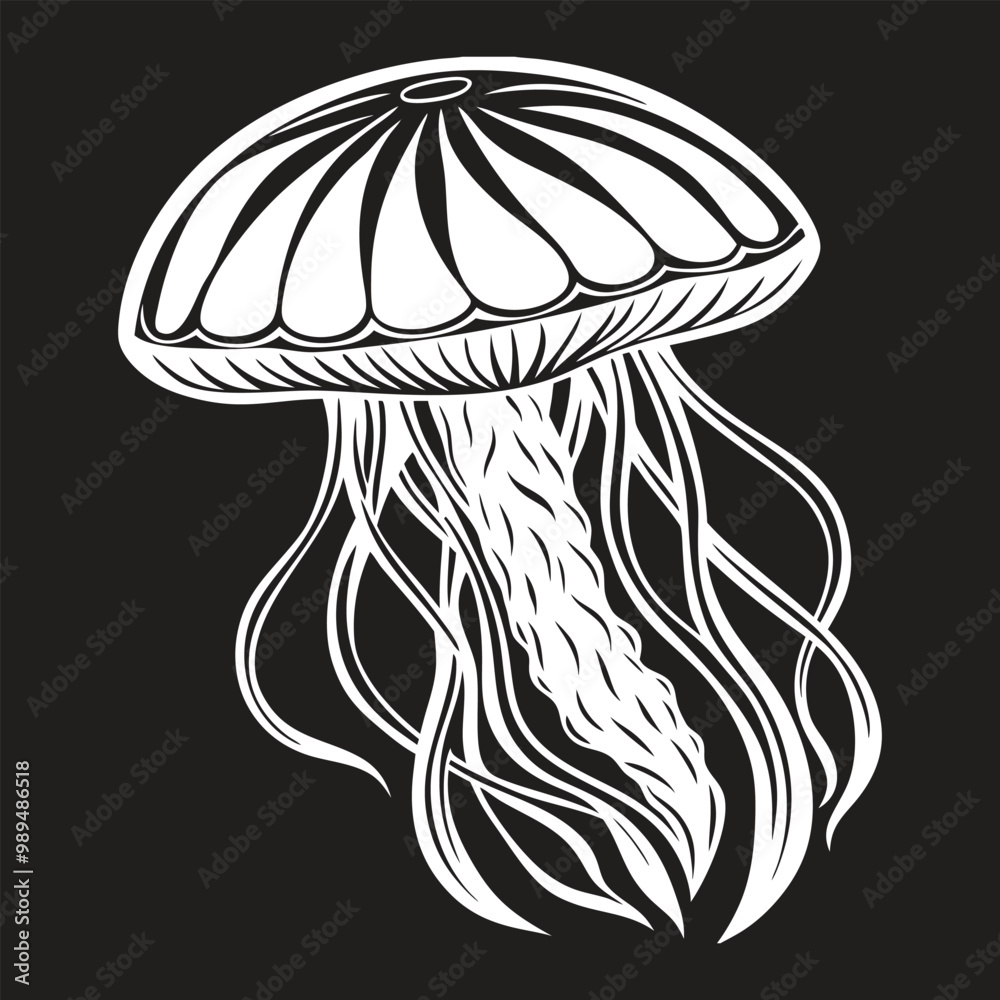 Hand drawn jellyfish. Vector illustration Hand drawn jellyfish. Vector illustration