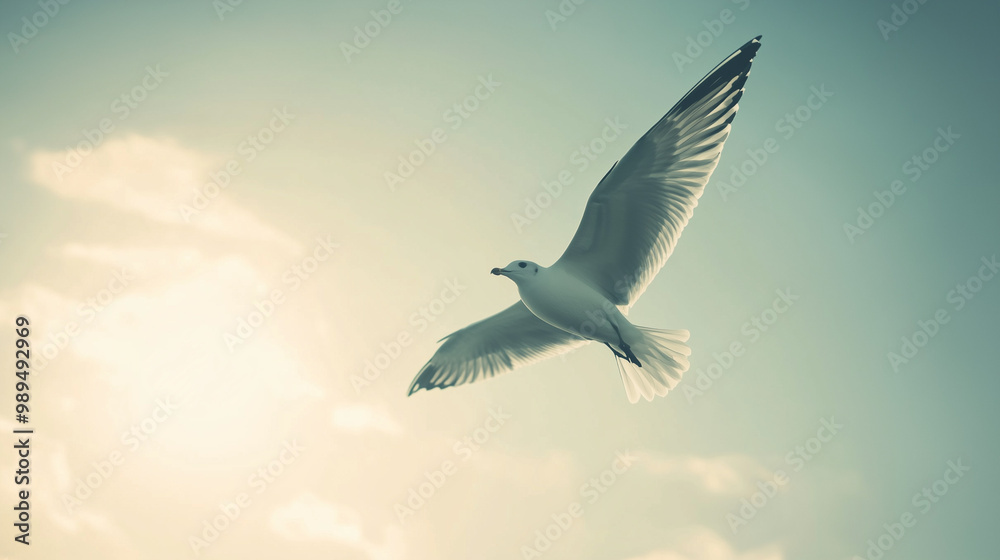 Obraz premium A soaring bird in the sky symbol of freedom and inspiration with a soft light background 