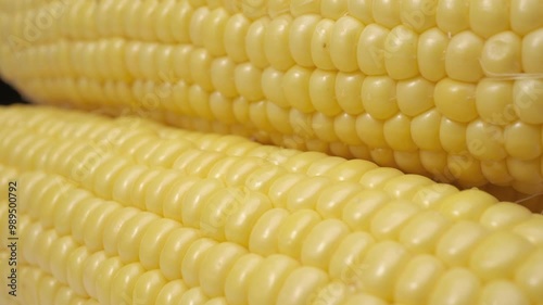 Close-up view of fresh sweet corn.