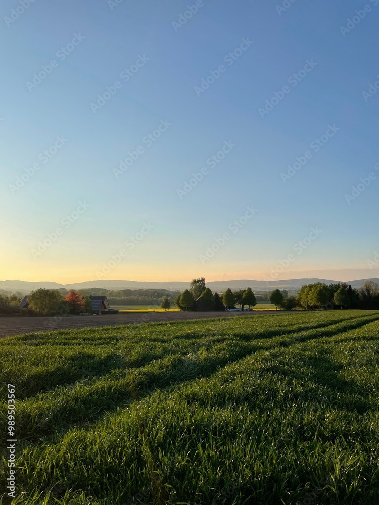 Sonnenuntergang mit klarem Himmel auf einem Feld Sonnenuntergang mit klarem Himmel auf einem Feld
