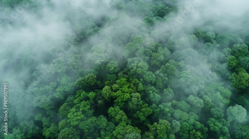 Foggy forest landscape pattern background top view generated by ai