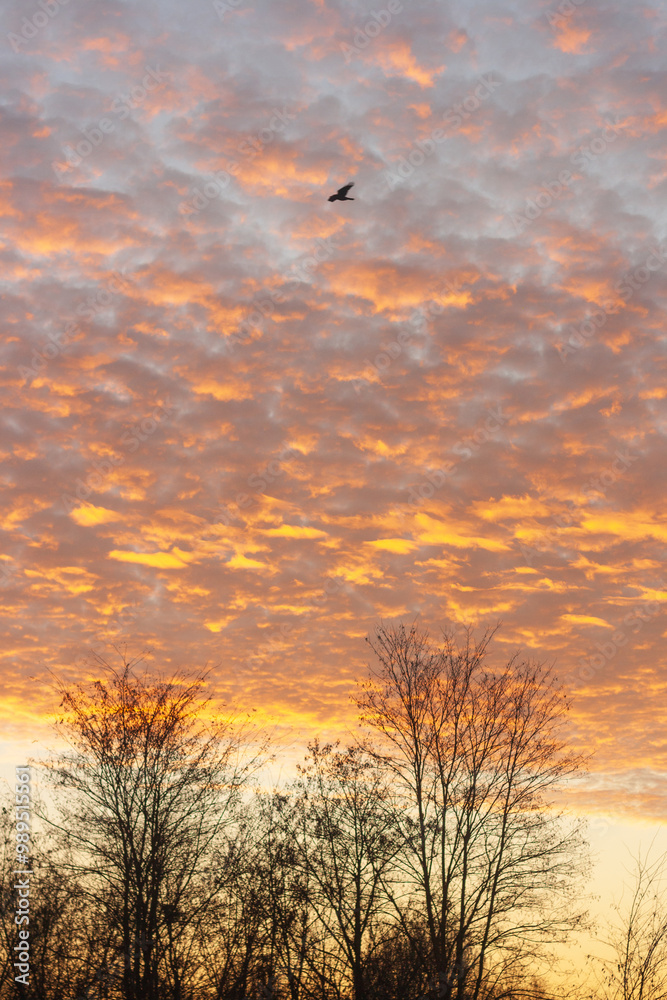 sunset in the sky sunset in the sky