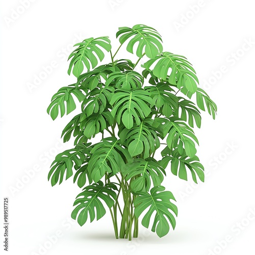 Wallpaper Mural Isolated lush green Monstera plant on clear background. Torontodigital.ca