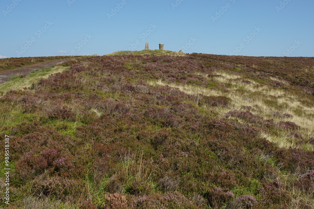 Obraz premium Pinhaw Beacon Trig Point on the Pennine Way with the Heather in Bloom, Elslack Moor near Lothersdale, North Yorkshire. England, UK