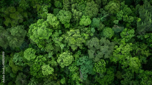 Forest landscape pattern background top view generated by ai